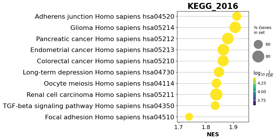_images/gseapy_example_61_1.png