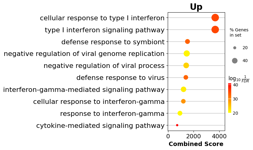_images/singlecell_example_35_0.png