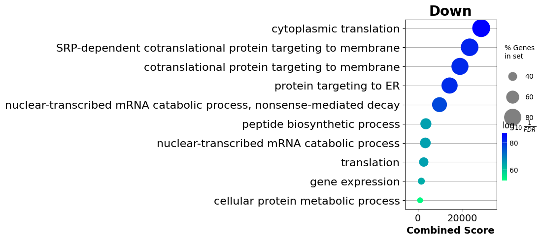 _images/singlecell_example_37_1.png