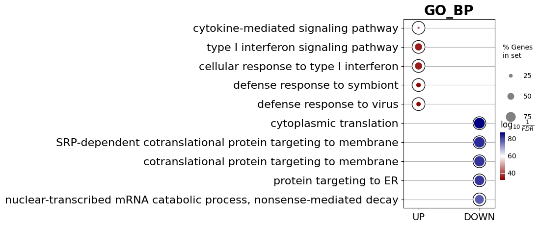 _images/singlecell_example_40_0.png