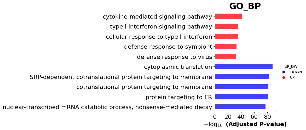 _images/singlecell_example_41_0.png